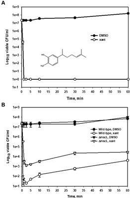 The efficacy of the food-grade antimicrobial xanthorrhizol against Staphylococcus aureus is associated with McsL channel expression